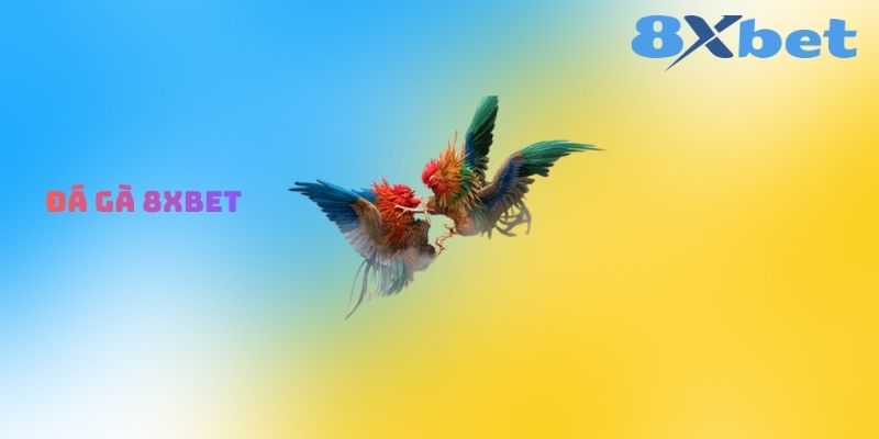 Đá Gà 8XBET